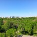 Pantelimon, vedere Parc Morarilor, 10 min. metrou.